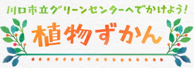 川口市立グリーンセンターへでかけよう！植物ずかん