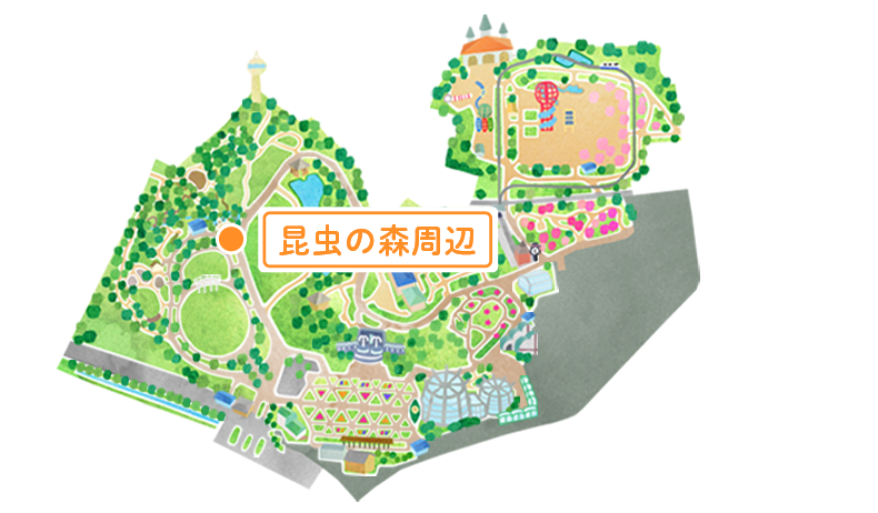 マップ 昆虫の森周辺