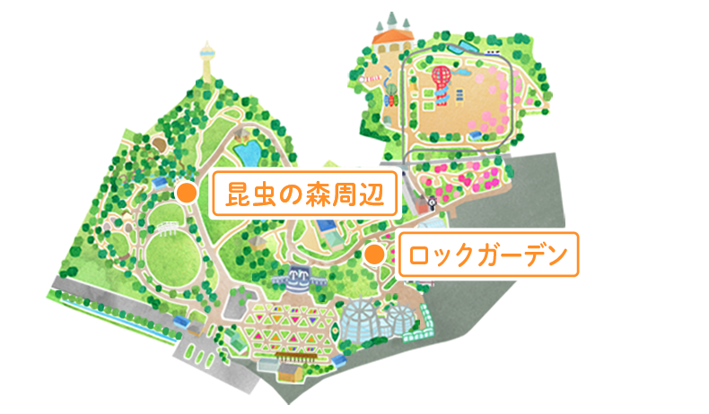 マップ ロックガーデン～昆虫の森周辺