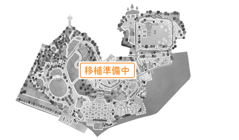 マップ 移植準備中